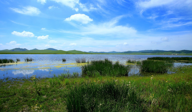 野鸭湖