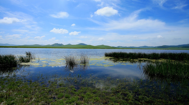 野鸭湖