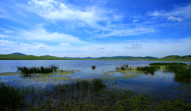 野鸭湖