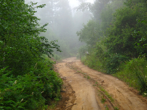 晨雾山路