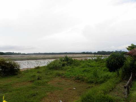 拉普蒂河湿地