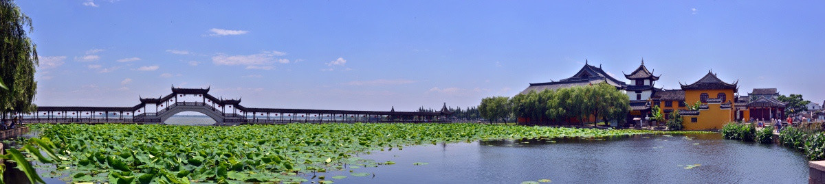 锦溪古莲池全景高清照