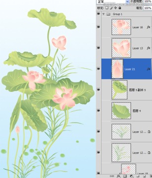 脫俗荷花