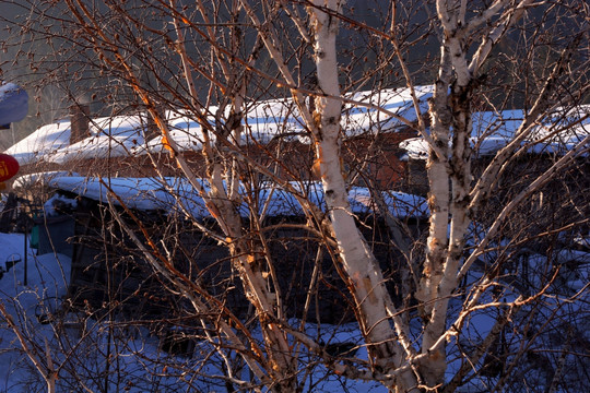 牡丹江 北国 雪乡 清晨