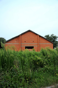 红砖墙建筑