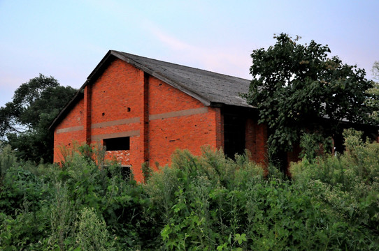 红砖墙建筑