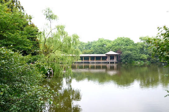 西湖风景