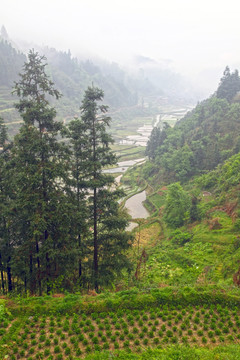 贵州梯田