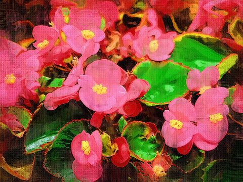 裝飾畫