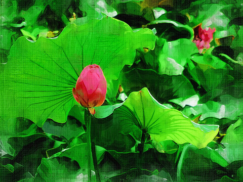 裝飾畫