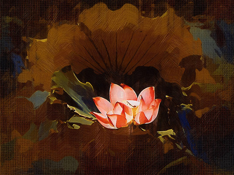 裝飾畫 荷花
