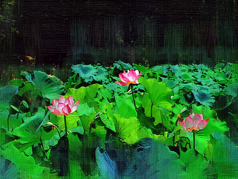 裝飾畫 荷花