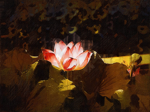 裝飾畫(huà) 荷花