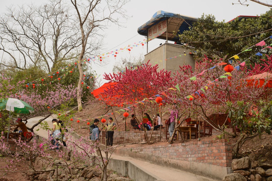 成都龙泉桃花沟农家乐