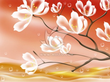 背景墻寫真  玉蘭花