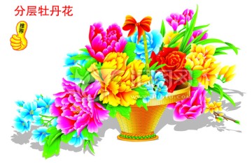 牡丹花
