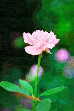 花卉裝飾畫 玫瑰