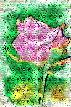 玫瑰花 裝飾畫