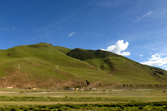 西藏的草地