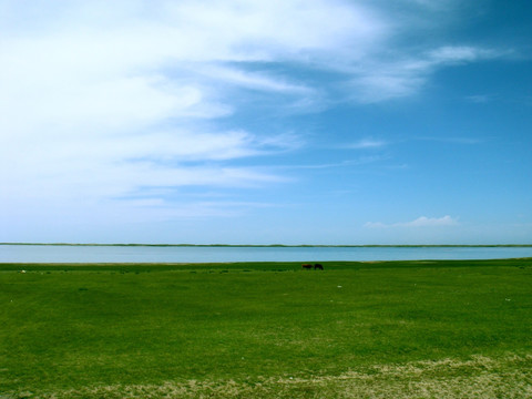 青海湖