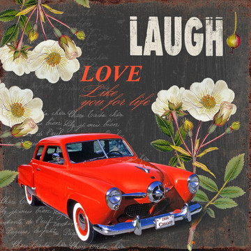 老爺車(chē) 花卉 無(wú)框畫(huà) 合理分層