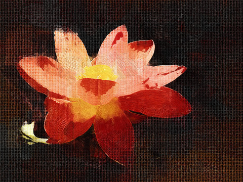 油畫 荷花