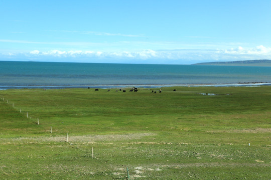 青海湖