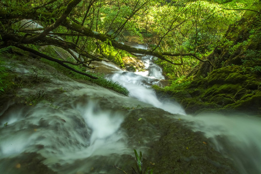 小溪流水