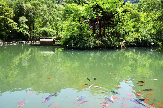 酉阳桃花源 桃花源景区