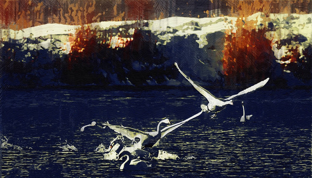 装饰画  油画起飞的天鹅