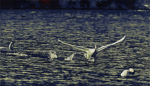 油画  装饰画起飞的天鹅