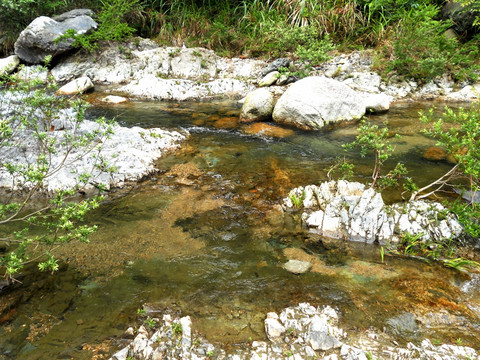 山涧溪流 一潭绿水