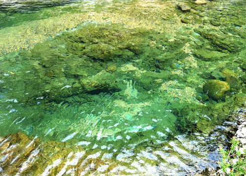 山涧溪流 一潭绿水