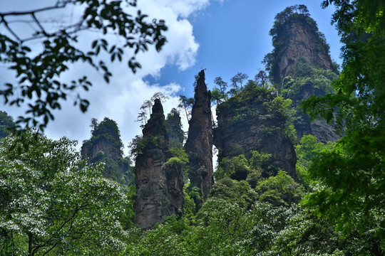 张家界奇山