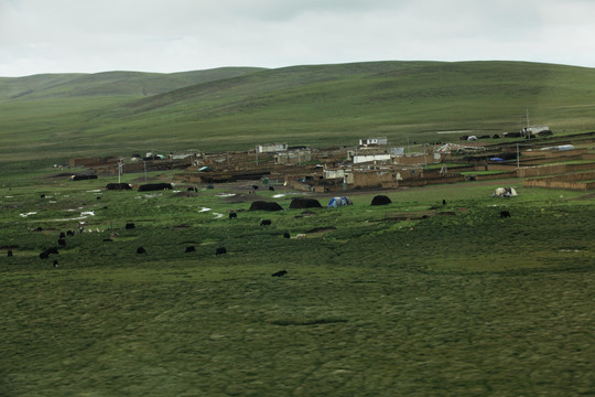藏民村庄