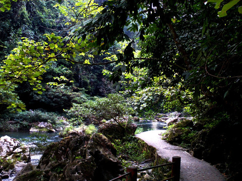 广西古龙山峡谷