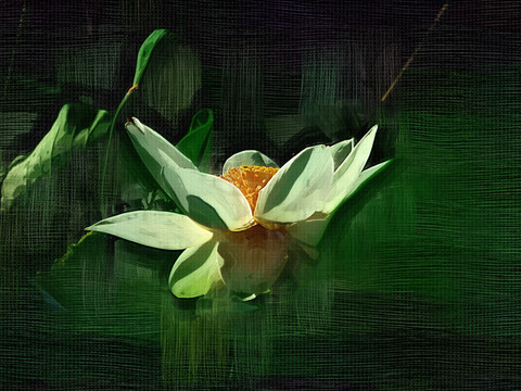 裝飾畫(huà) 荷花