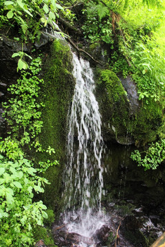 吉林长白县望天鹅景区