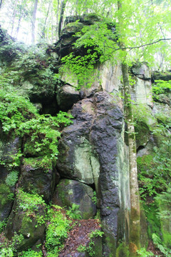 吉林长白山望天鹅景区