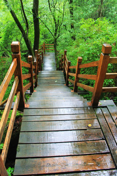 吉林长白山望天鹅景区