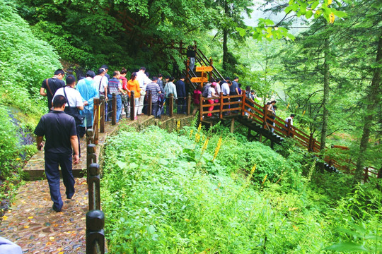 吉林长白山望天鹅景区