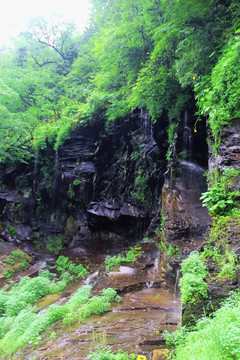 吉林长白山望天鹅景区