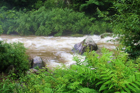 吉林长白山望天鹅景区