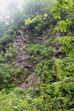 吉林长白山望天鹅景区