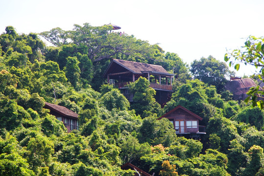 亚龙湾鸟巢度假村