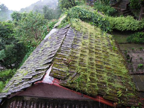 尼泊尔纳加阔特山上的老屋顶