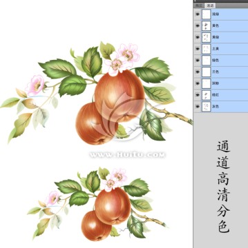 蘋果