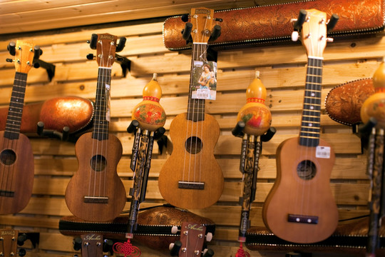 吉他 六弦琴 器乐 乐器 商店