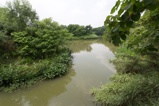 杭州西溪湿地公园