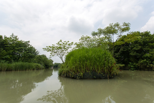 杭州西溪湿地公园